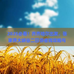 齐齐哈尔去张家界大峡谷二日游