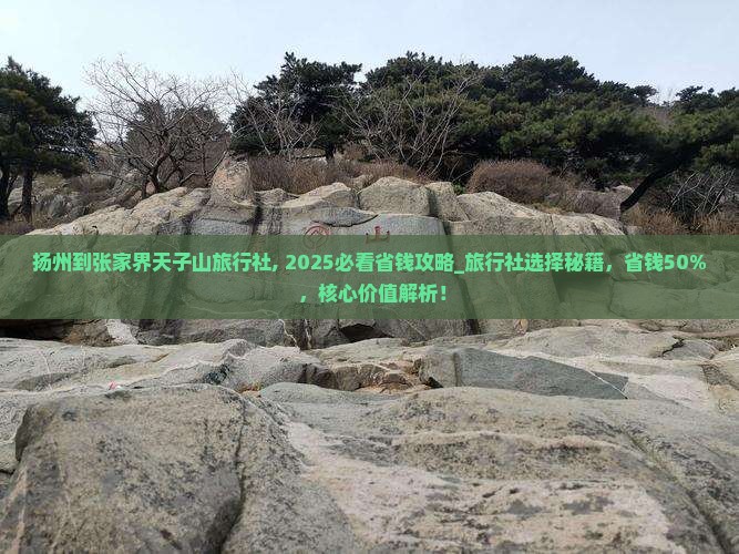 扬州到张家界天子山旅行社