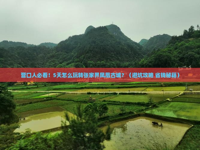 营口去张家界凤凰古城五日游