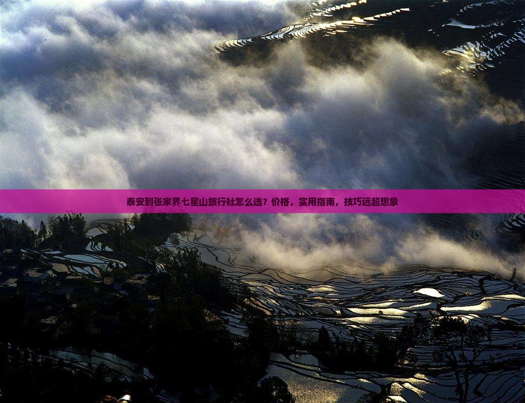 泰安到张家界七星山旅行社