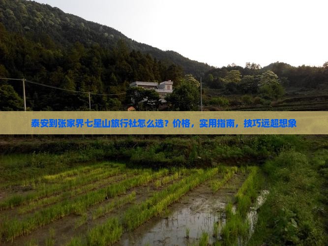泰安到张家界七星山旅行社