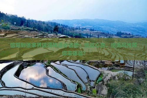 信阳到张家界玻璃栈道必去地