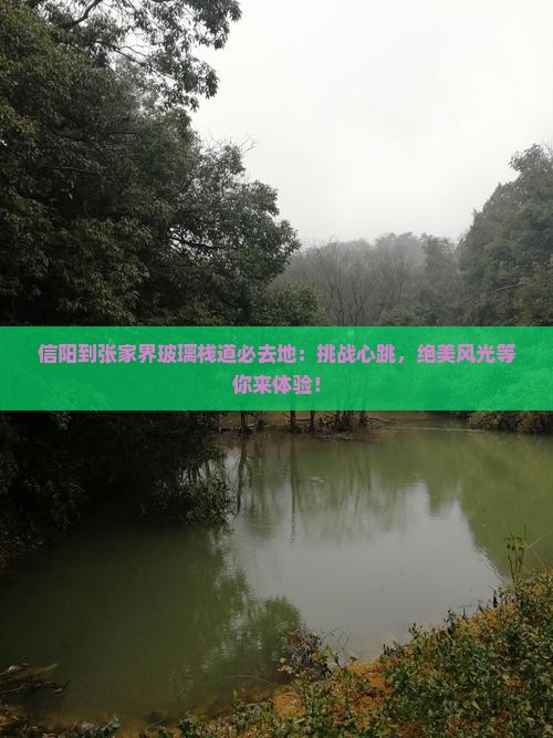 信阳到张家界玻璃栈道必去地