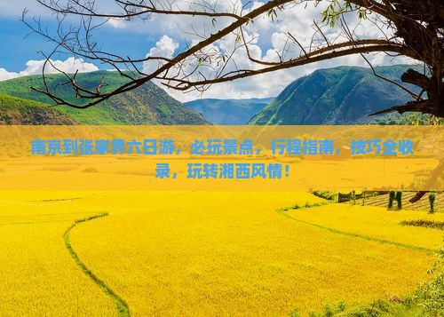 南京到张家界六日游