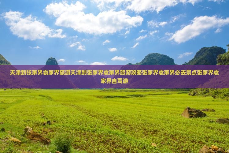 天津到张家界袁家界旅游
