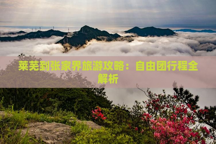 莱芜到张家界森林公园自由团