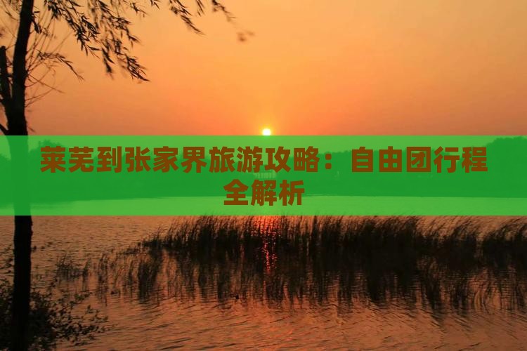 莱芜到张家界森林公园自由团