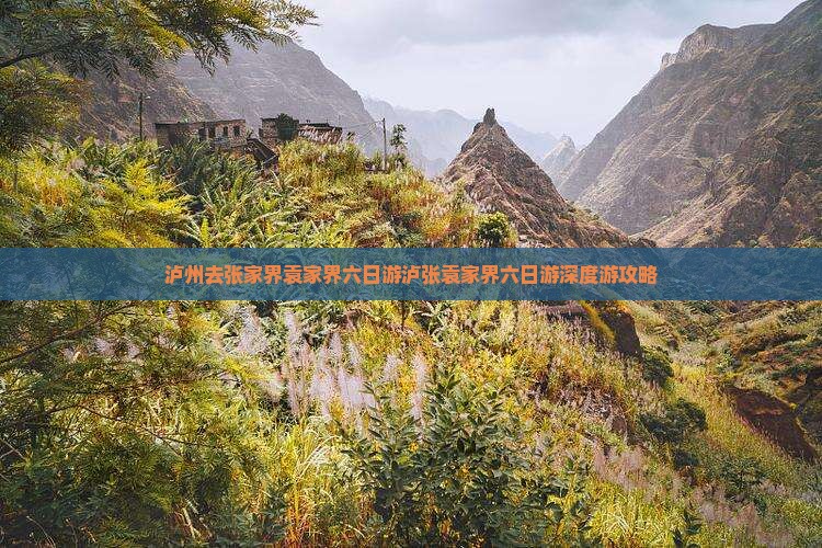 泸州去张家界袁家界六日游