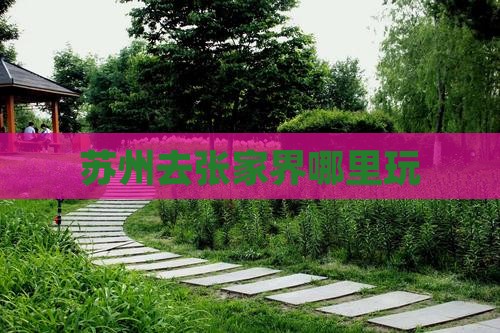 苏州去张家界哪里玩