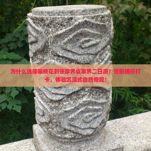 攀枝花到张家界袁家界二日游