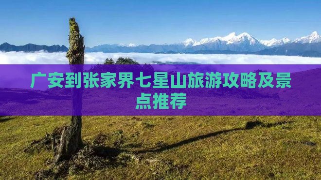 广安到张家界七星山大型旅游团