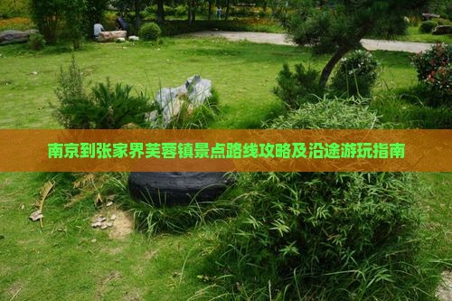 南京到张家界芙蓉镇景点