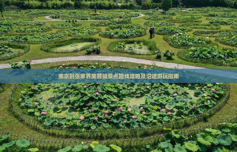 南京到张家界芙蓉镇景点