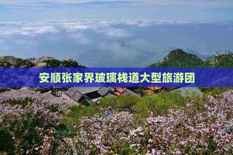 安顺到张家界玻璃栈道大型旅游团