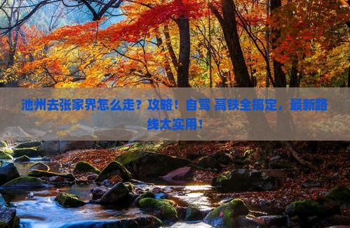 池州去张家界攻略