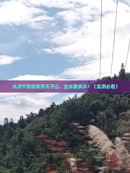 济宁到张家界天子山景点