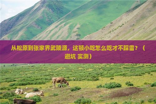 松原到张家界武陵源旅游小吃