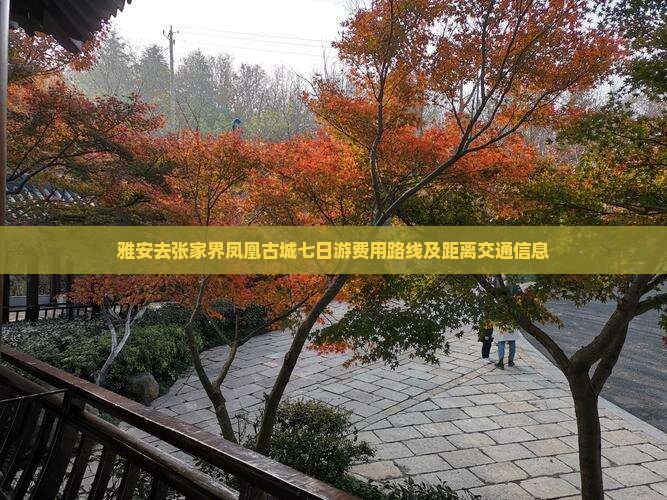 雅安去张家界凤凰古城七日游