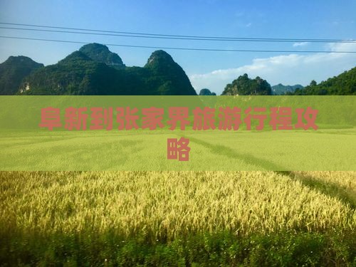 阜新到张家界森林公园大型旅游团