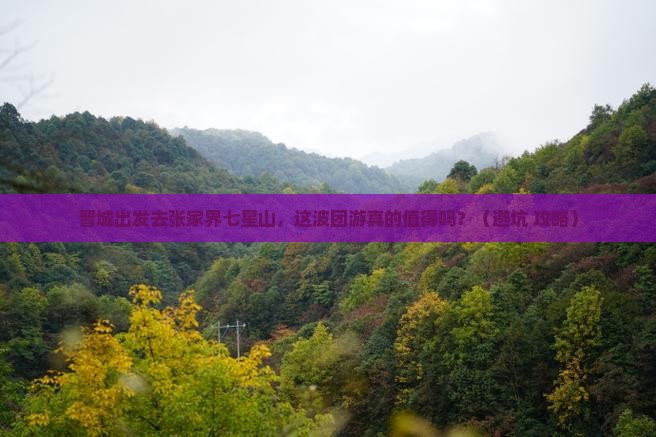 晋城到张家界七星山团体旅游