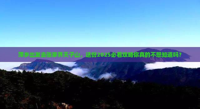 萍乡去张家界天子山必去地