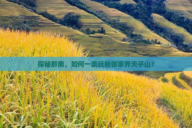 探秘黔南，如何一票玩转张家界天子山？