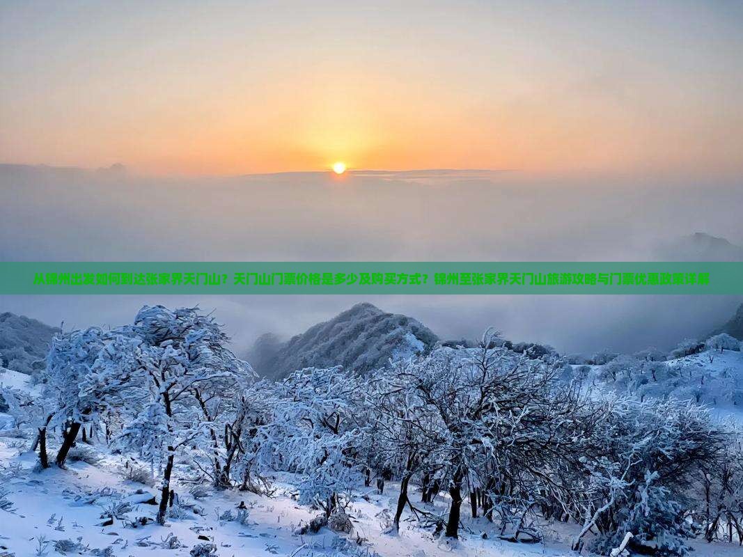 从锦州出发如何到达张家界天门山？天门山门票价格是多少及购买方式？锦州至张家界天门山旅游攻略与门票优惠政策详解