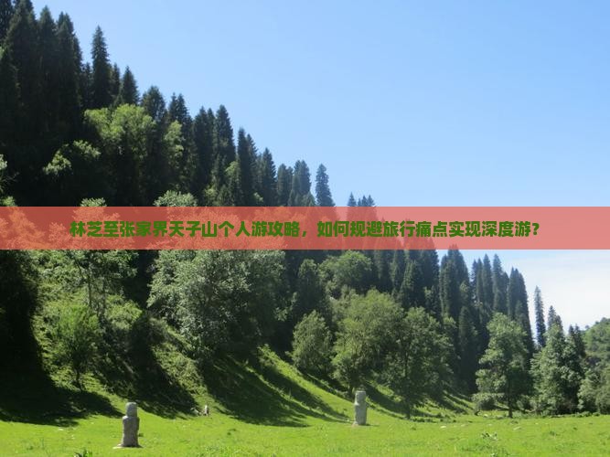 林芝至张家界天子山个人游攻略，如何规避旅行痛点实现深度游？