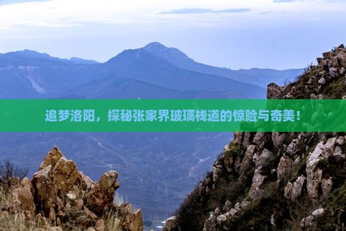 追梦洛阳，探秘张家界玻璃栈道的惊险与奇美！