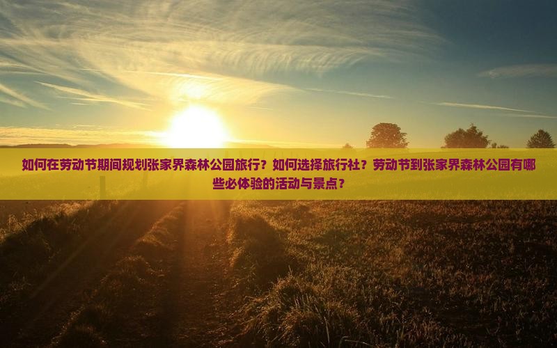 如何在劳动节期间规划张家界森林公园旅行？如何选择旅行社？劳动节到张家界森林公园有哪些必体验的活动与景点？