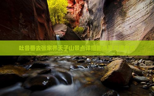 吐鲁番去张家界天子山景点详细路线及交通方式