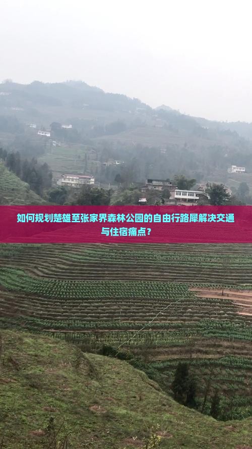 如何规划楚雄至张家界森林公园的自由行路犀解决交通与住宿痛点？