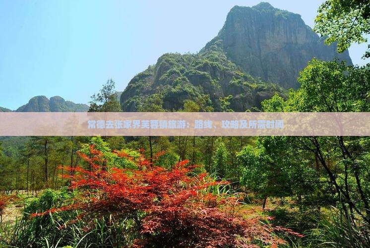 常德去张家界芙蓉镇旅游：路线、攻略及所需时间