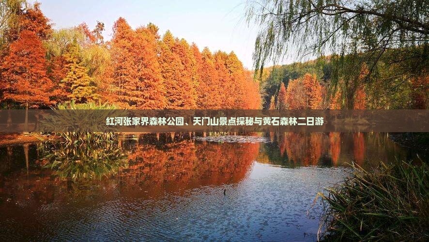 红河张家界森林公园、天门山景点探秘与黄石森林二日游