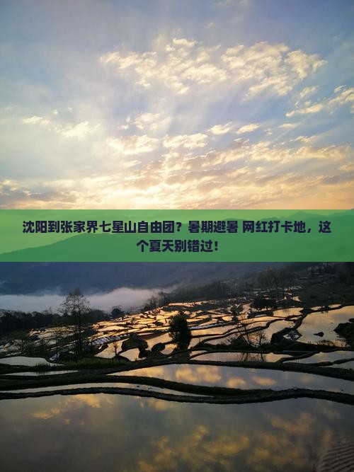 沈阳到张家界七星山自由团？暑期避暑+网红打卡地，这个夏天别错过！