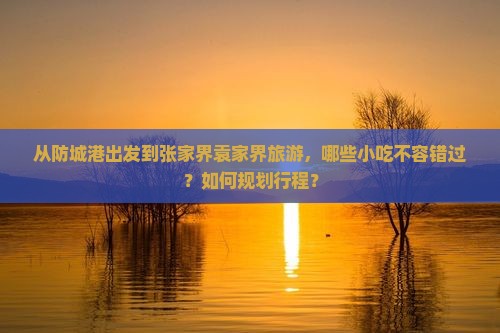 从防城港出发到张家界袁家界旅游，哪些小吃不容错过？如何规划行程？