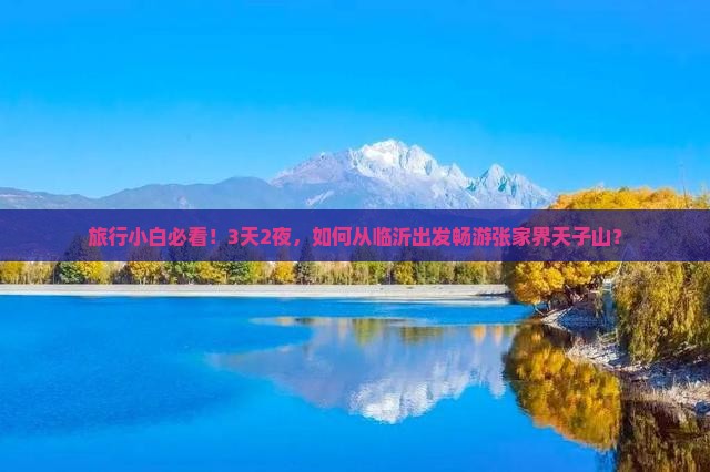 旅行小白必看！3天2夜，如何从临沂出发畅游张家界天子山？