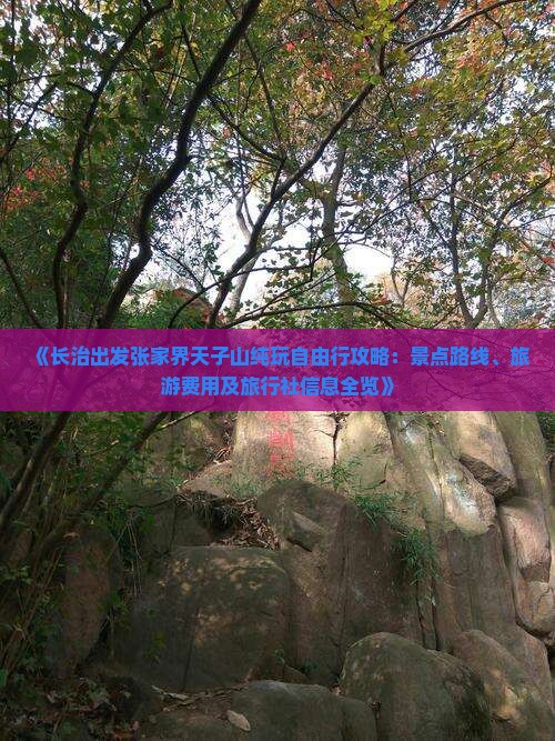 《长治出发张家界天子山纯玩自由行攻略：景点路线、旅游费用及旅行社信息全览》