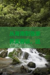 从海南到张家界芙蓉镇，这段旅程会藏着什么小确幸？