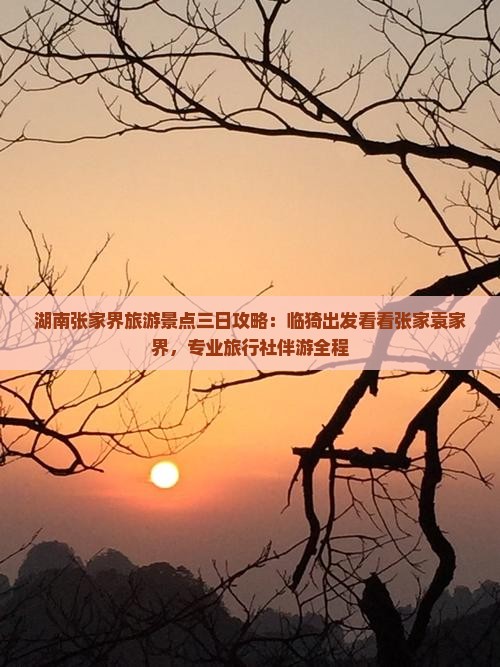 湖南张家界旅游景点三日攻略：临猗出发看看张家袁家界，专业旅行社伴游全程