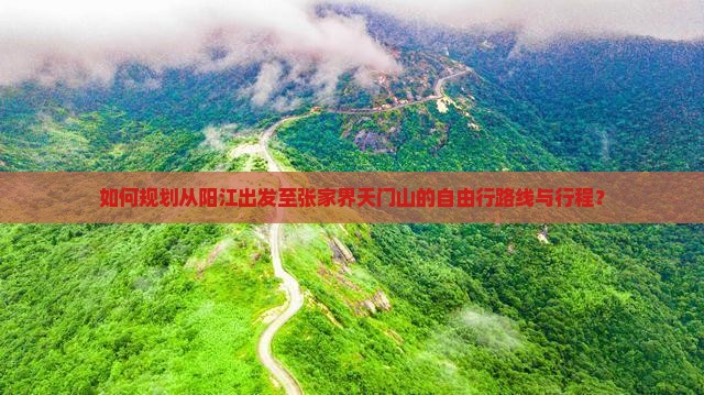 如何规划从阳江出发至张家界天门山的自由行路线与行程？