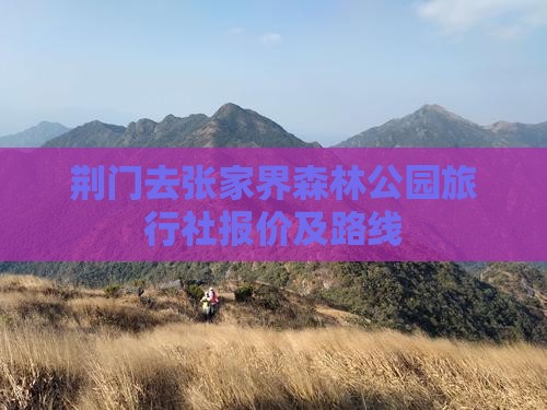 荆门去张家界森林公园旅行社报价及路线