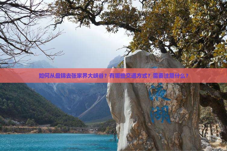 如何从盘锦去张家界大峡谷？有哪些交通方式？需要注意什么？