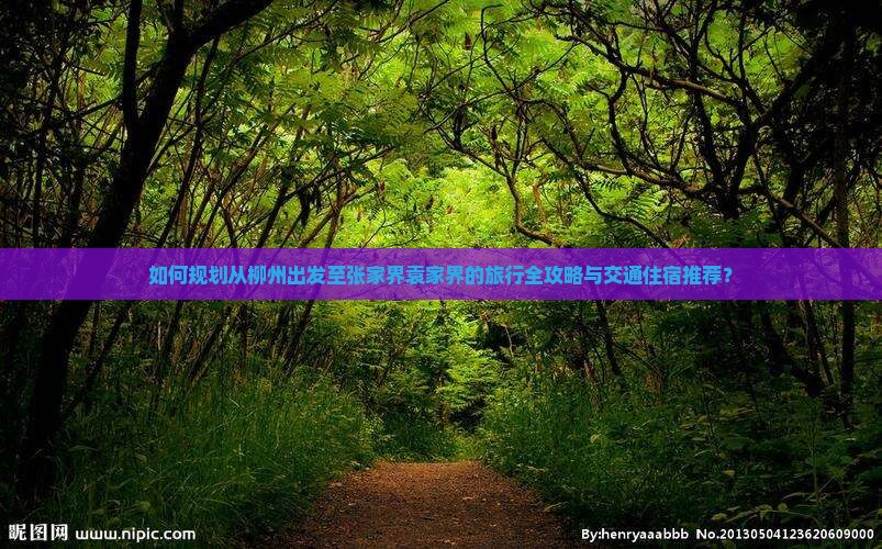 如何规划从柳州出发至张家界袁家界的旅行全攻略与交通住宿推荐？