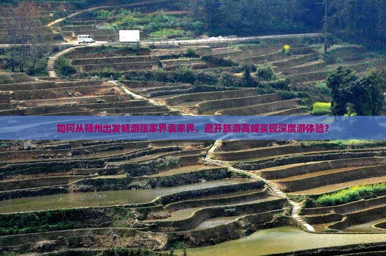 如何从朔州出发畅游张家界袁家界，避开旅游高峰实现深度游体验？