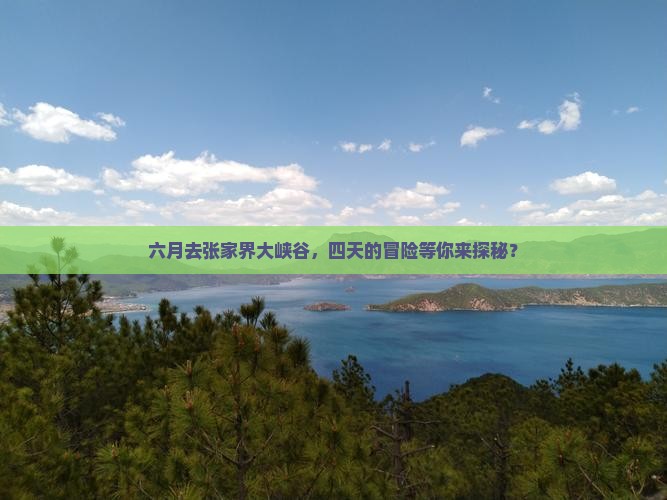 六月去张家界大峡谷，四天的冒险等你来探秘？