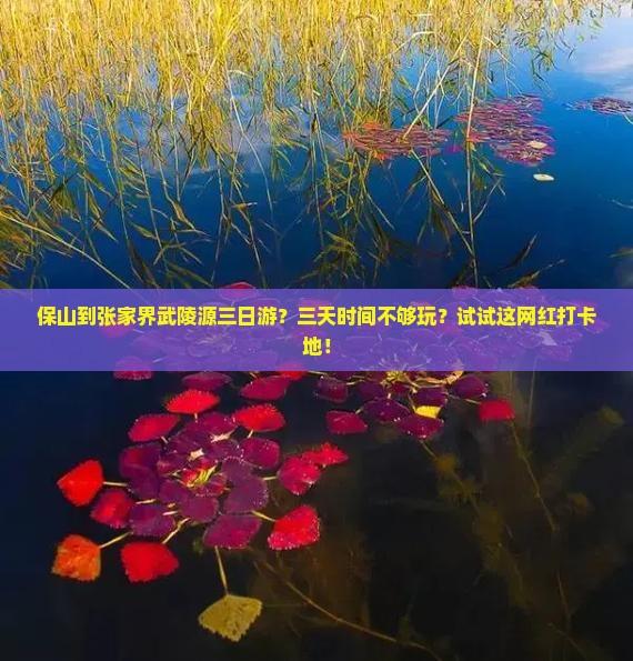 保山到张家界武陵源三日游？三天时间不够玩？试试这网红打卡地！