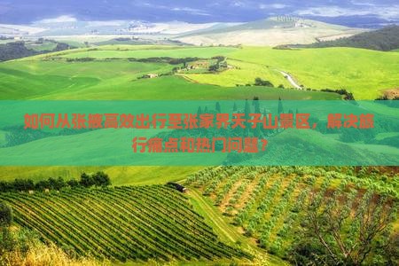 如何从张掖高效出行至张家界天子山景区，解决旅行痛点和热门问题？
