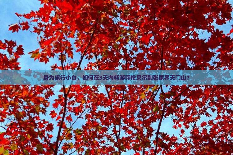 身为旅行小白，如何在3天内畅游呼伦贝尔到张家界天门山？