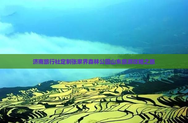 济南旅行社定制张家界森林公园山东旅游攻略之旅